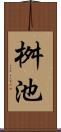 桝池 Scroll