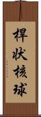 桿状核球 Scroll