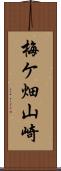 梅ケ畑山崎 Scroll