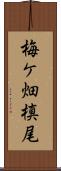 梅ケ畑槙尾 Scroll