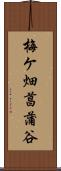 梅ケ畑菖蒲谷 Scroll