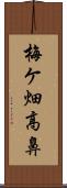 梅ケ畑高鼻 Scroll