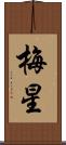 梅星 Scroll