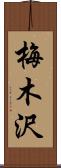 梅木沢 Scroll