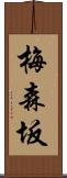梅森坂 Scroll
