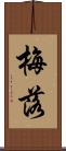 梅落 Scroll