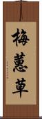 梅蕙草 Scroll