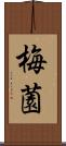 梅薗 Scroll
