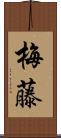 梅藤 Scroll