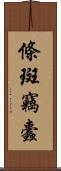 條斑竊蠹 Scroll