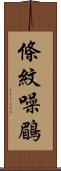 條紋噪鶥 Scroll