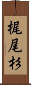 梶尾杉 Scroll
