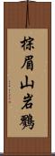 棕眉山岩鷚 Scroll