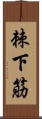棘下筋 Scroll