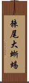 棘尾大蜥蜴 Scroll