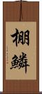 棚鱗 Scroll