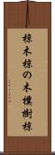 椋木 Scroll