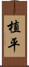 植平 Scroll