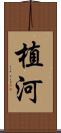 植河 Scroll