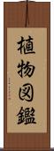 植物図鑑 Scroll
