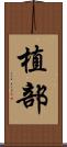 植部 Scroll