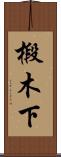 椴木下 Scroll