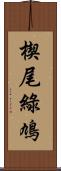 楔尾綠鳩 Scroll