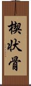 楔状骨 Scroll