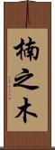 楠之木 Scroll