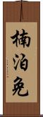 楠泊免 Scroll