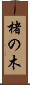 楮の木 Scroll