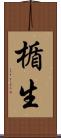 楯生 Scroll