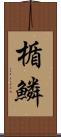 楯鱗 Scroll