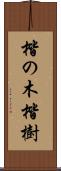 楷の木 Scroll