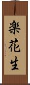 楽花生 Scroll