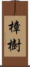 樟樹 Scroll