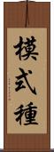 模式種 Scroll