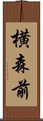 横森前 Scroll