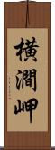 横澗岬 Scroll