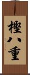 樫八重 Scroll