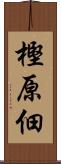樫原佃 Scroll