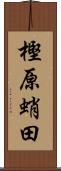 樫原蛸田 Scroll