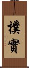 樸實 Scroll