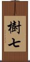 樹七 Scroll