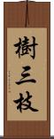 樹三枝 Scroll