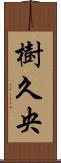 樹久央 Scroll