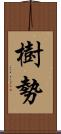 樹勢 Scroll
