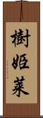 樹姫莱 Scroll