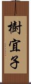 樹宜子 Scroll