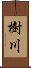 樹川 Scroll